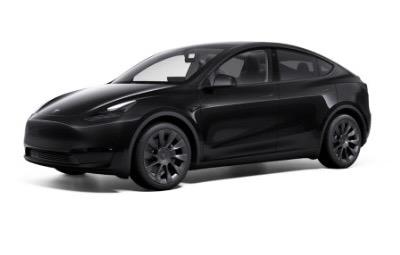 Black Beauty TESLA Model Y